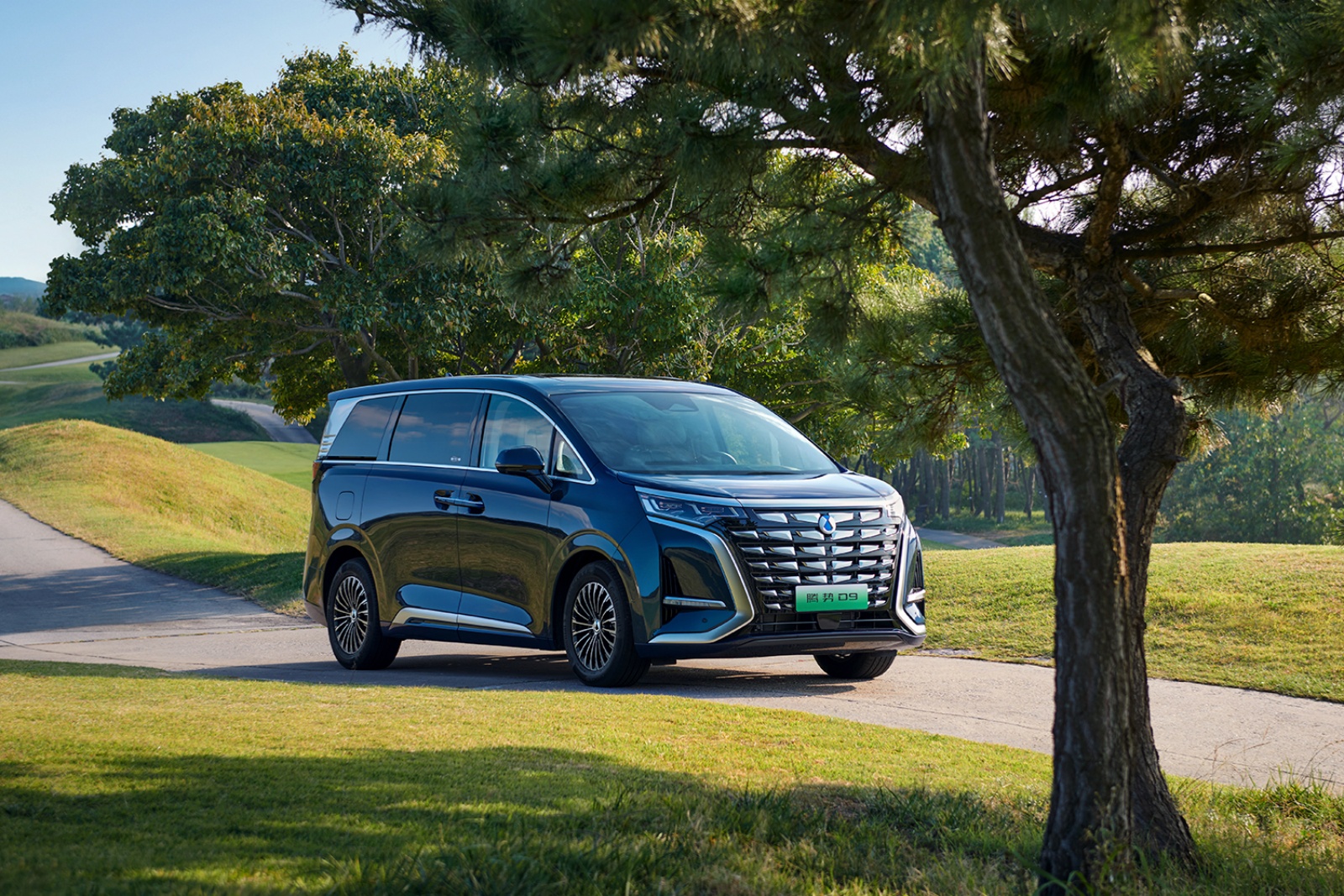 騰勢D9 DM 2024款 970 豪華型