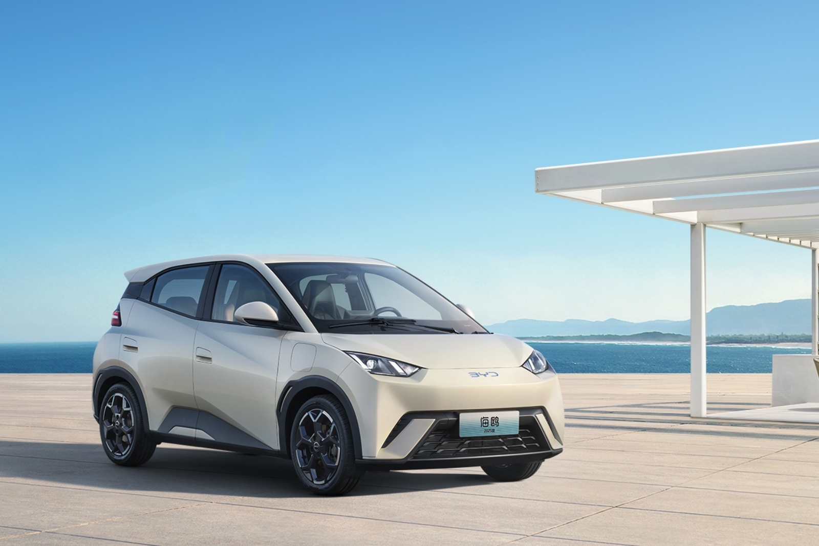 2025款比亞迪海鷗